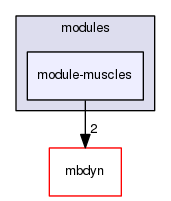 module-muscles